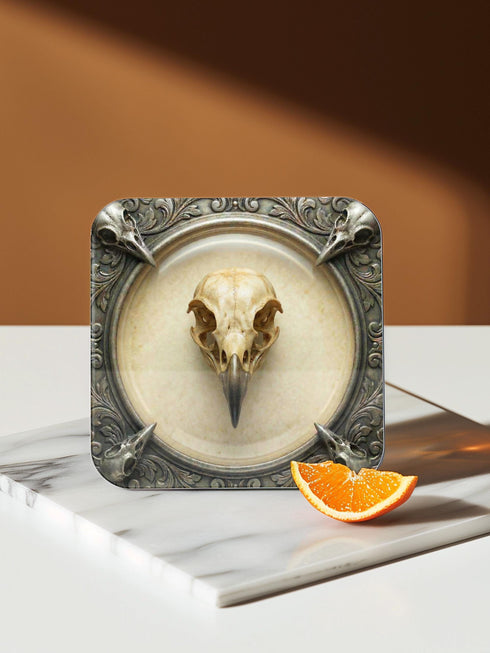 A set of four square 4x4 inch coasters by Grimoire and Goblet. Each features a unique avian skull specimen: a hooked raptor, a slender insectivore, a straight-billed corvid, and a scavenger. Designs are framed by silver faux-texture scrollwork on aged parchment. The coasters have a reflective high-gloss finish and tan cork backing. A perfect companion for a gothic goblet or grimoire study.