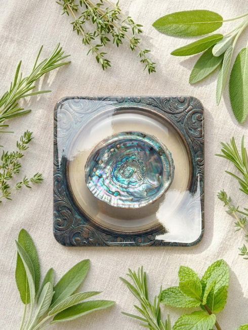 A high-fidelity 2D Trompe-l’œil print on a set of four 4x4 inch square coasters. Each coaster features a centralized sea specimen—a scallop, an oyster with a pearl, a pink conch, and an abalone—centered within an ornate, circular Victorian scrollwork frame. The design uses a faux-texture effect to mimic raised bronze and verdigris metal. The colors include aged gold, teal, and cream, creating a vintage museum specimen aesthetic