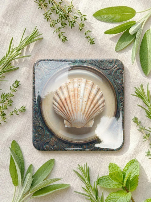 A high-fidelity 2D Trompe-l’œil print on a set of four 4x4 inch square coasters. Each coaster features a centralized sea specimen—a scallop, an oyster with a pearl, a pink conch, and an abalone—centered within an ornate, circular Victorian scrollwork frame. The design uses a faux-texture effect to mimic raised bronze and verdigris metal. The colors include aged gold, teal, and cream, creating a vintage museum specimen aesthetic