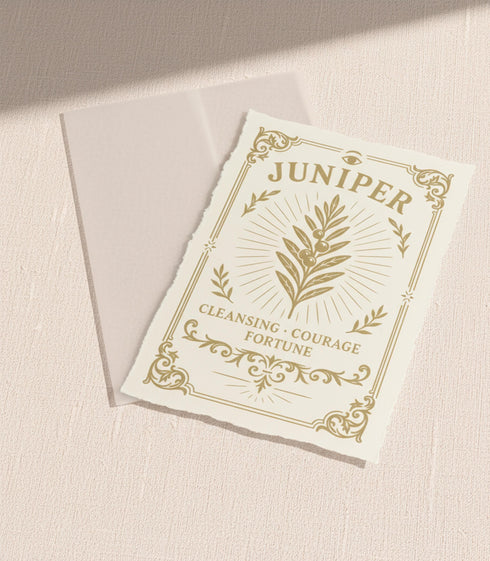 a luxury Grimoire and Goblet ritual card set. A 5x7 cream-colored folded card features an intricate, art-nouveau-style gold foil illustration of a Juniper plant, with the words "Juniper: Cleansing & Fortune." The card is presented with a translucent vellum envelope, which has a gold floral border and a white adhesive wax seal. Inside, the card reveals a vellum-wrapped keepsake, which unfurls to a 4x6 ritual card printed on thick, 160 GSM handmade cotton paper with a rough, deckled edge.