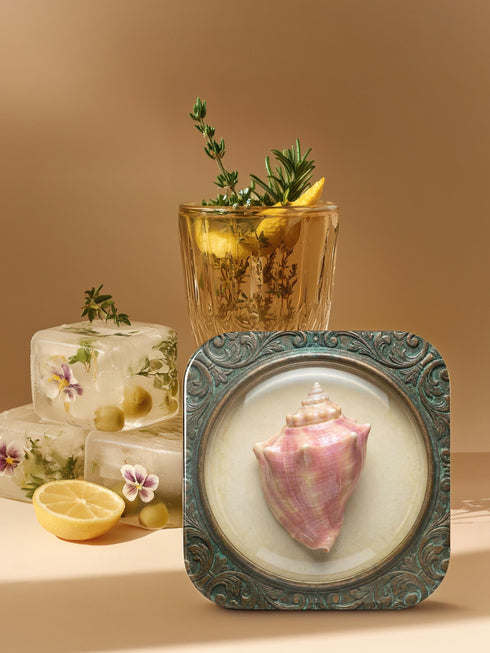 A high-fidelity 2D Trompe-l’œil print on a set of four 4x4 inch square coasters. Each coaster features a centralized sea specimen—a scallop, an oyster with a pearl, a pink conch, and an abalone—centered within an ornate, circular Victorian scrollwork frame. The design uses a faux-texture effect to mimic raised bronze and verdigris metal. The colors include aged gold, teal, and cream, creating a vintage museum specimen aesthetic