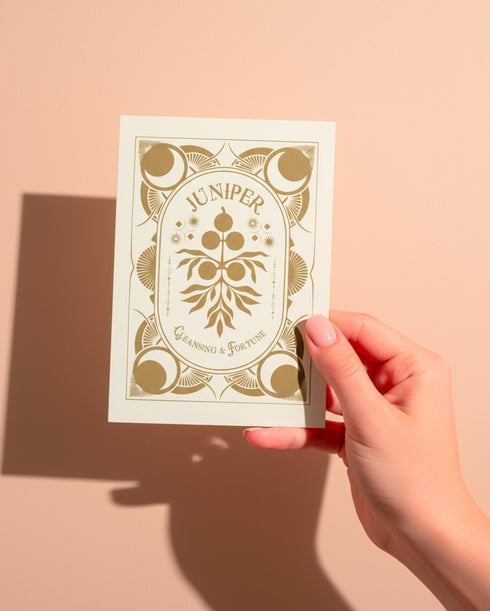 a luxury Grimoire and Goblet ritual card set. A 5x7 cream-colored folded card features an intricate, art-nouveau-style gold foil illustration of a Juniper plant, with the words "Juniper: Cleansing & Fortune." The card is presented with a translucent vellum envelope, which has a gold floral border and a white adhesive wax seal. Inside, the card reveals a vellum-wrapped keepsake, which unfurls to a 4x6 ritual card printed on thick, 160 GSM handmade cotton paper with a rough, deckled edge.