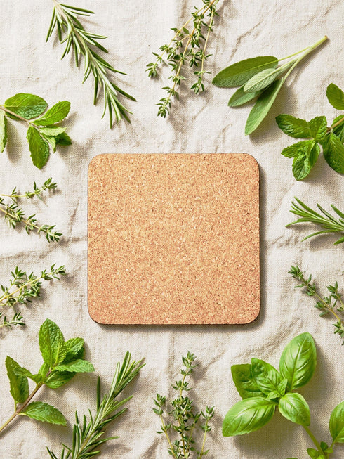 Anatomical Heart Coasters Botanical Heart Design Masonite Coaster Set