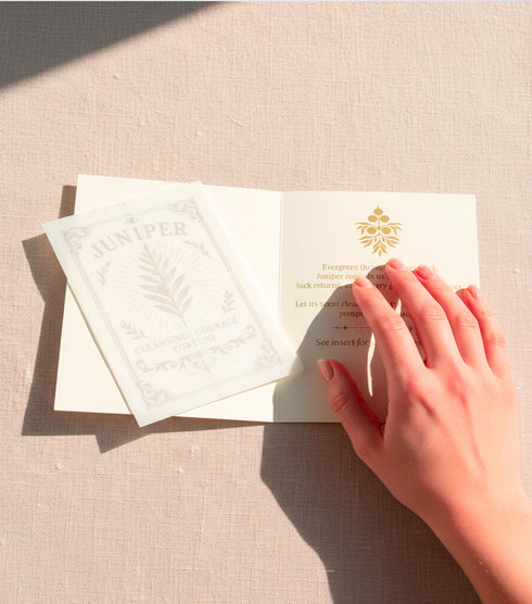 a luxury Grimoire and Goblet ritual card set. A 5x7 cream-colored folded card features an intricate, art-nouveau-style gold foil illustration of a Juniper plant, with the words "Juniper: Cleansing & Fortune." The card is presented with a translucent vellum envelope, which has a gold floral border and a white adhesive wax seal. Inside, the card reveals a vellum-wrapped keepsake, which unfurls to a 4x6 ritual card printed on thick, 160 GSM handmade cotton paper with a rough, deckled edge.