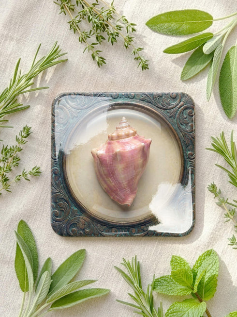 A high-fidelity 2D Trompe-l’œil print on a set of four 4x4 inch square coasters. Each coaster features a centralized sea specimen—a scallop, an oyster with a pearl, a pink conch, and an abalone—centered within an ornate, circular Victorian scrollwork frame. The design uses a faux-texture effect to mimic raised bronze and verdigris metal. The colors include aged gold, teal, and cream, creating a vintage museum specimen aesthetic