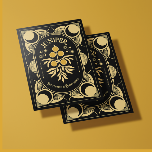 Juniper-themed greeting card featuring a gold design on a black background with celestial and botanical motifs. The text reads: 'Protection & Purification.' The inside message explains the magical and spiritual significance of juniper, including rituals for New Year's Eve and the first full moon, focusing on protection and purification practices.
