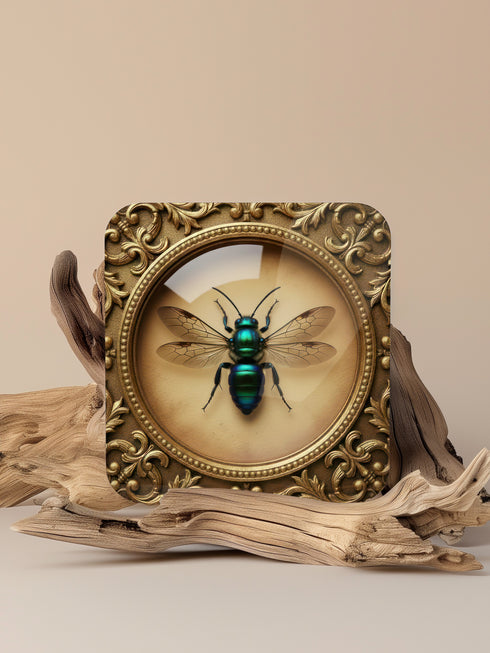 Set of four luxury coasters featuring taxidermy inspired specimen entomology art, showcasing detailed illustrations of beetles and dragonflies encapsulated within ornate, gold baroque frames. The square drink coasters are crafted from masonite hardboard with a waterproof high-gloss finish, protecting delicate surfaces during dining rituals. Essential gothic barware, complementing any fine cocktail, esoteric tea, or wine served in a Goblet. A premium curio cabinet accent by Grimoire and Goblet.
