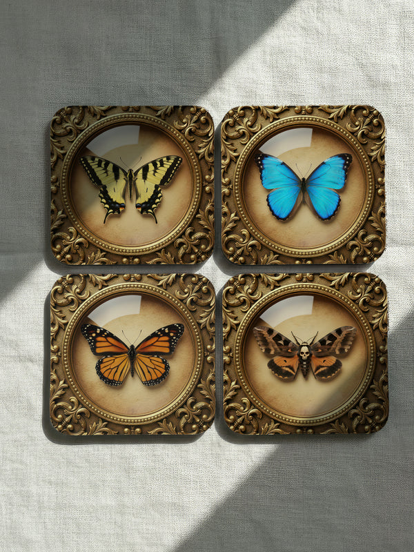 Set of four Gothic Entomology Coasters featuring square, ornate gold frames surrounding taxidermy-inspired butterfly and moth specimen prints in high-gloss finish. Ideal barware from Grimoire and Goblet for Dark Academia and witchy home decor.