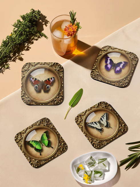 Grimoire and Goblet offers this luxury four-piece square Coaster Set featuring glossy, dome-covered, Taxidermy-inspired Entomology butterfly specimens, framed in ornate Victorian Gothic style. The resilient hardboard foundation and non-slip cork backing provide premium, waterproof protection for fine cocktails and esoteric teas. The collection includes purple, green, white, and peacock butterfly art, ideal for Dark Academia, Oddity, and Curio Cabinet decor.