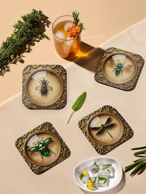 Set of four luxury coasters featuring taxidermy inspired specimen entomology art, showcasing detailed illustrations of beetles and dragonflies encapsulated within ornate, gold baroque frames. The square drink coasters are crafted from masonite hardboard with a waterproof high-gloss finish, protecting delicate surfaces during dining rituals. Essential gothic barware, complementing any fine cocktail, esoteric tea, or wine served in a Goblet. A premium curio cabinet accent by Grimoire and Goblet.
