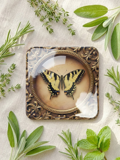Set of four Gothic Entomology Coasters featuring square, ornate gold frames surrounding taxidermy-inspired butterfly and moth specimen prints in high-gloss finish. Ideal barware from Grimoire and Goblet for Dark Academia and witchy home decor.