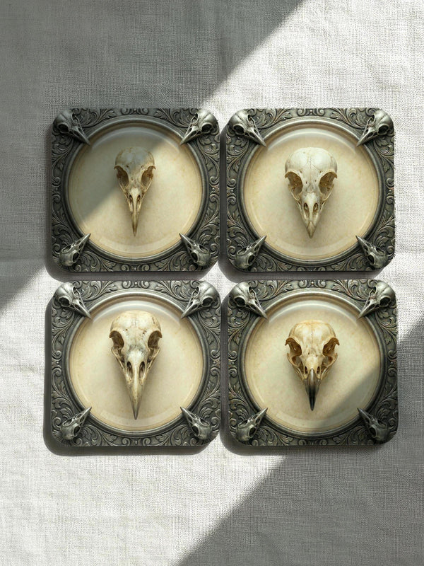 A set of four square 4x4 inch coasters by Grimoire and Goblet. Each features a unique avian skull specimen: a hooked raptor, a slender insectivore, a straight-billed corvid, and a scavenger. Designs are framed by silver faux-texture scrollwork on aged parchment. The coasters have a reflective high-gloss finish and tan cork backing. A perfect companion for a gothic goblet or grimoire study.
