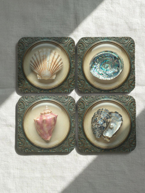 A high-fidelity 2D Trompe-l’œil print on a set of four 4x4 inch square coasters. Each coaster features a centralized sea specimen—a scallop, an oyster with a pearl, a pink conch, and an abalone—centered within an ornate, circular Victorian scrollwork frame. The design uses a faux-texture effect to mimic raised bronze and verdigris metal. The colors include aged gold, teal, and cream, creating a vintage museum specimen aesthetic
