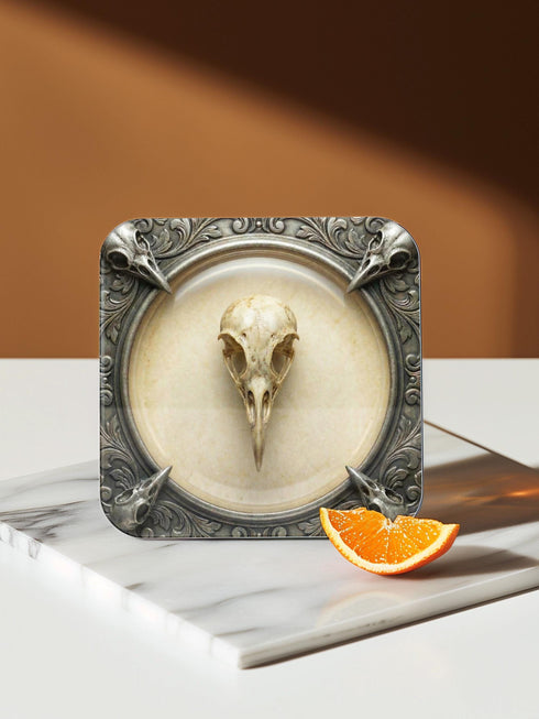 A set of four square 4x4 inch coasters by Grimoire and Goblet. Each features a unique avian skull specimen: a hooked raptor, a slender insectivore, a straight-billed corvid, and a scavenger. Designs are framed by silver faux-texture scrollwork on aged parchment. The coasters have a reflective high-gloss finish and tan cork backing. A perfect companion for a gothic goblet or grimoire study.