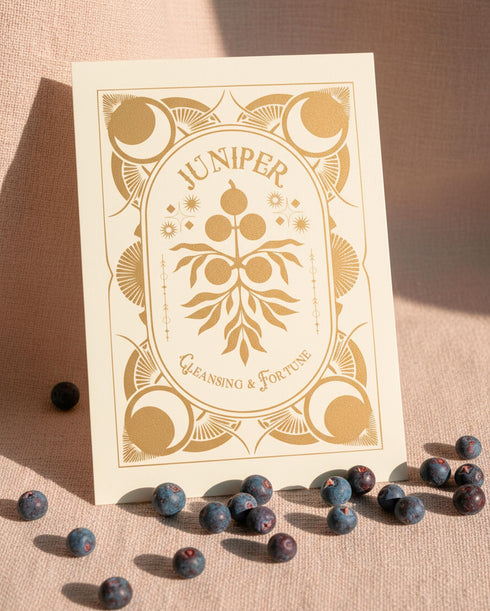 a luxury Grimoire and Goblet ritual card set. A 5x7 cream-colored folded card features an intricate, art-nouveau-style gold foil illustration of a Juniper plant, with the words "Juniper: Cleansing & Fortune." The card is presented with a translucent vellum envelope, which has a gold floral border and a white adhesive wax seal. Inside, the card reveals a vellum-wrapped keepsake, which unfurls to a 4x6 ritual card printed on thick, 160 GSM handmade cotton paper with a rough, deckled edge.