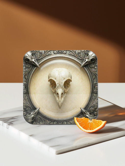 A set of four square 4x4 inch coasters by Grimoire and Goblet. Each features a unique avian skull specimen: a hooked raptor, a slender insectivore, a straight-billed corvid, and a scavenger. Designs are framed by silver faux-texture scrollwork on aged parchment. The coasters have a reflective high-gloss finish and tan cork backing. A perfect companion for a gothic goblet or grimoire study.